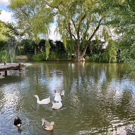 Appartamento Au Coeur De La Flandre Noordpeene Esterno foto