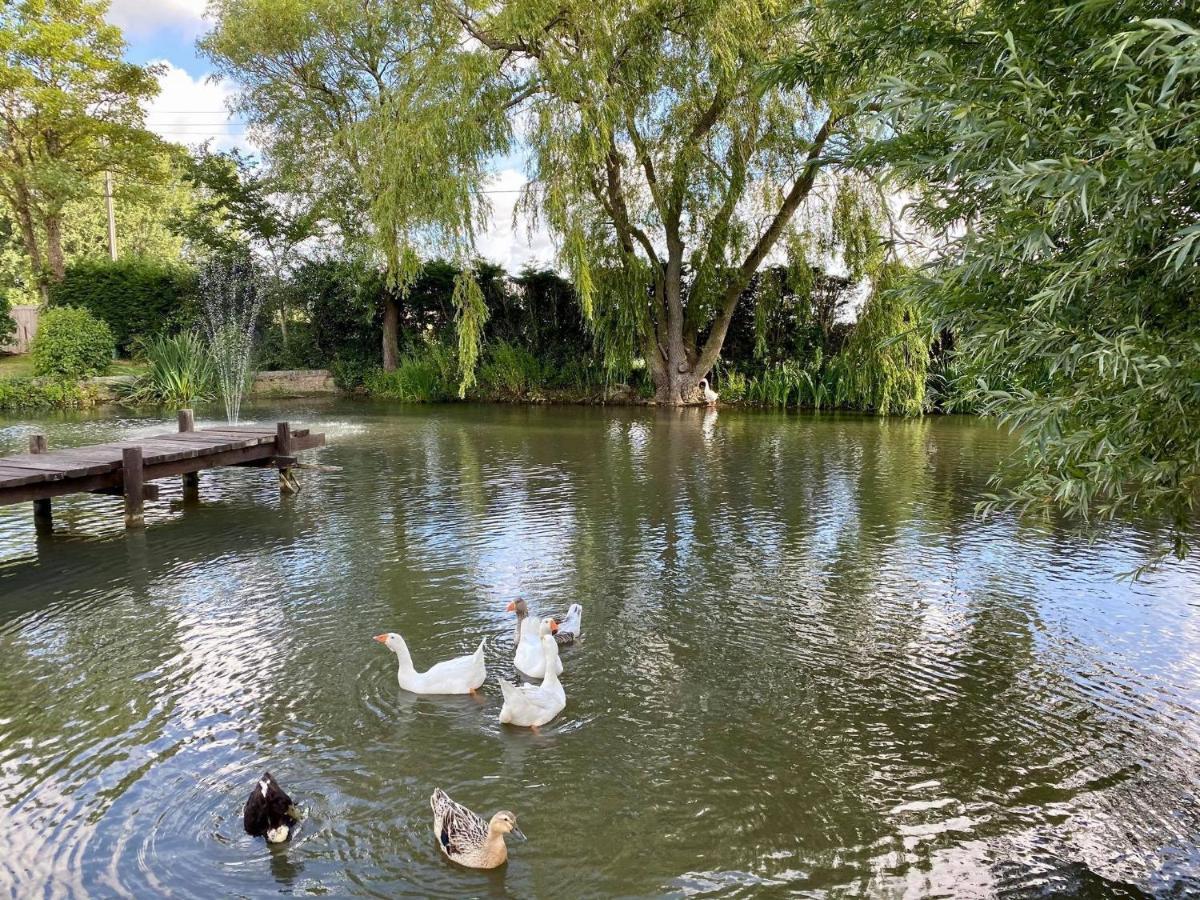 Appartamento Au Coeur De La Flandre Noordpeene Esterno foto