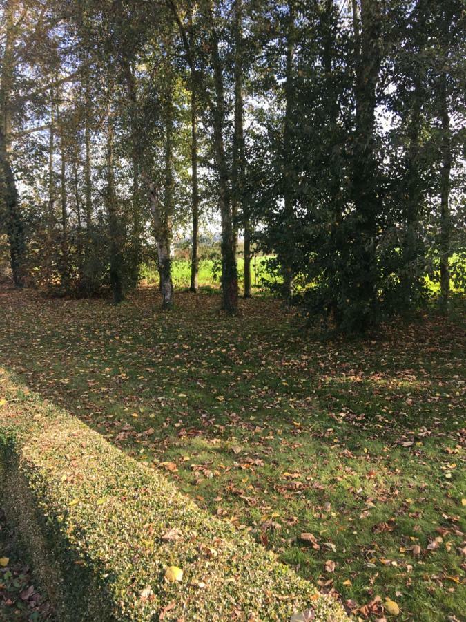 Appartamento Au Coeur De La Flandre Noordpeene Esterno foto