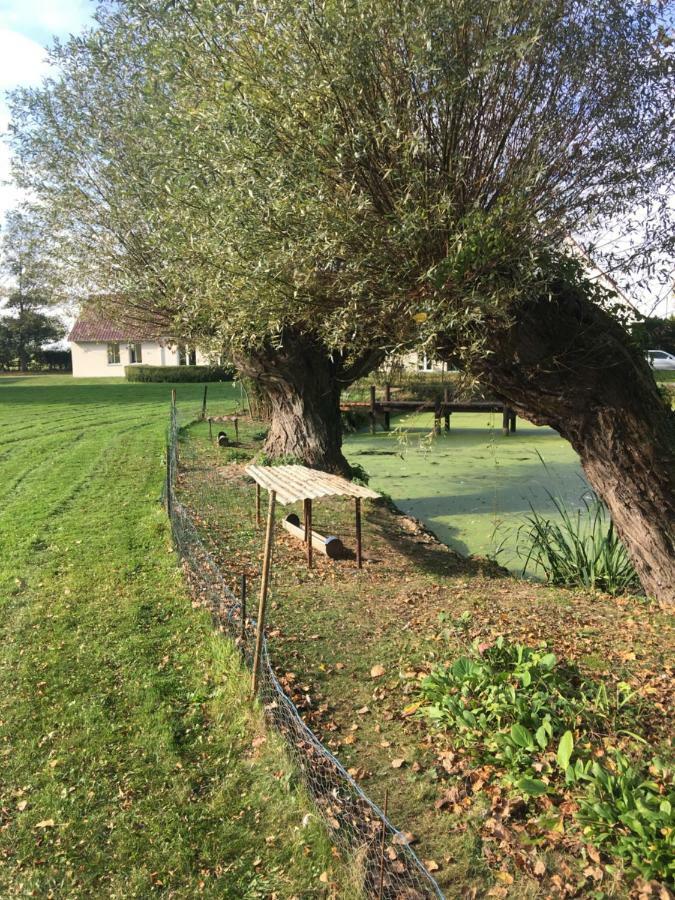 Appartamento Au Coeur De La Flandre Noordpeene Esterno foto