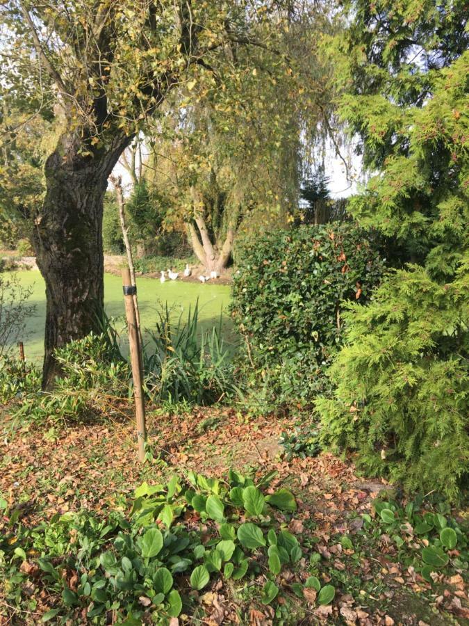 Appartamento Au Coeur De La Flandre Noordpeene Esterno foto