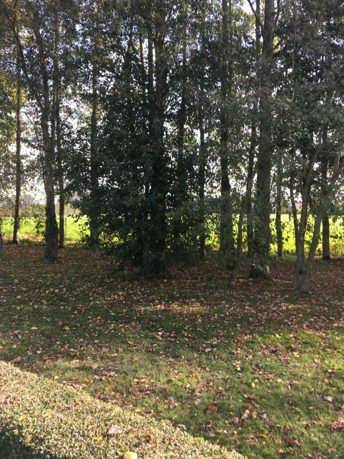 Appartamento Au Coeur De La Flandre Noordpeene Esterno foto