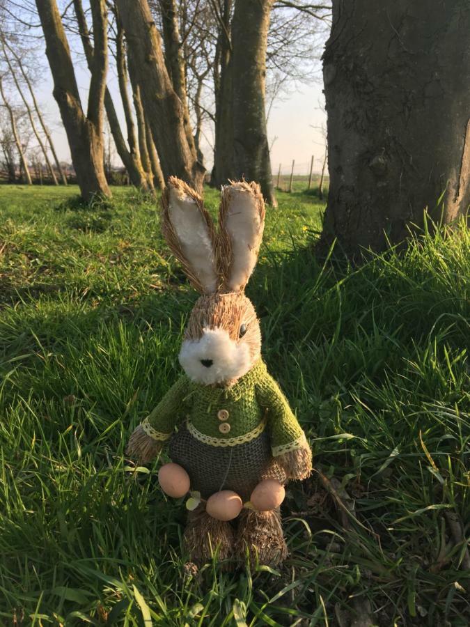 Appartamento Au Coeur De La Flandre Noordpeene Esterno foto